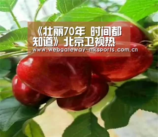 《壮丽70年 时间都知道》北京卫视热播 跨历史长河讲中国故事