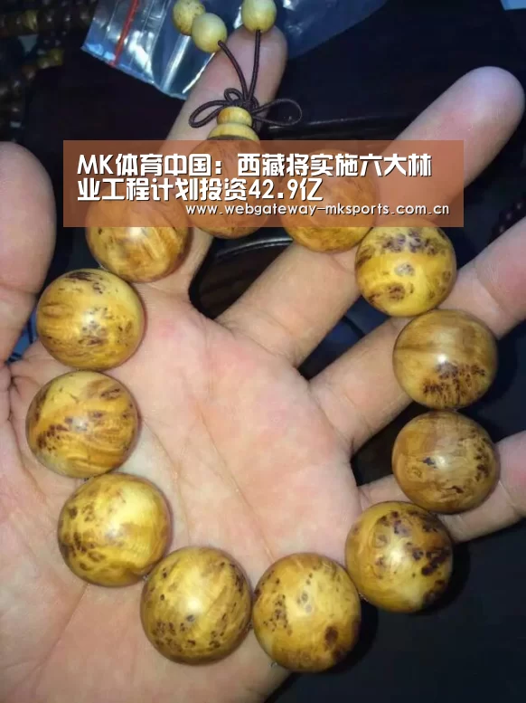 MK体育中国：西藏将实施六大林业工程计划投资42.9亿